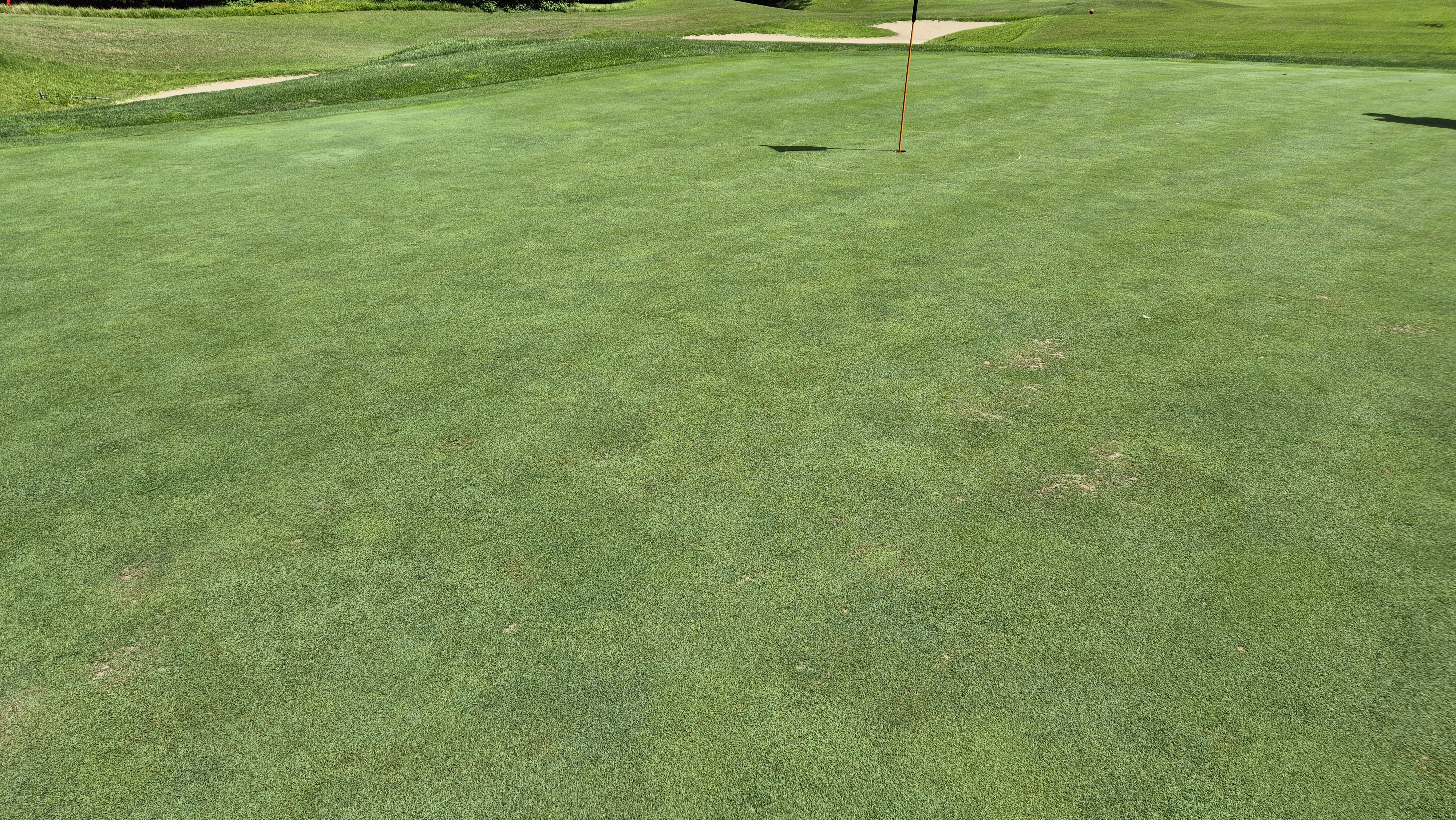 골프존카운티 천안 라운드 후기