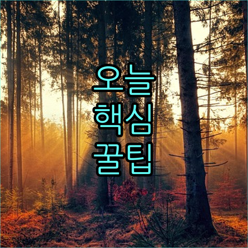 탄력 있는 피부를 위한 선택, 리프팅