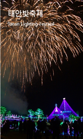 태안-빛축제