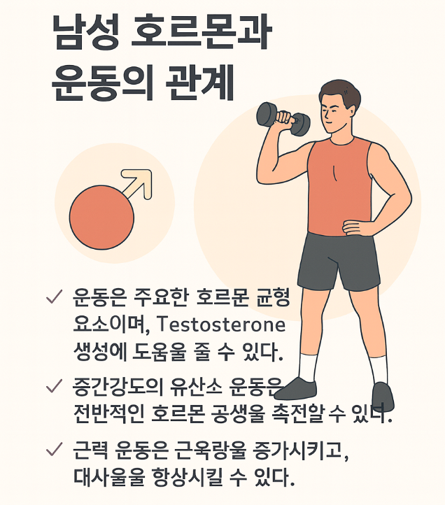 남성 호르몬 관련 사진