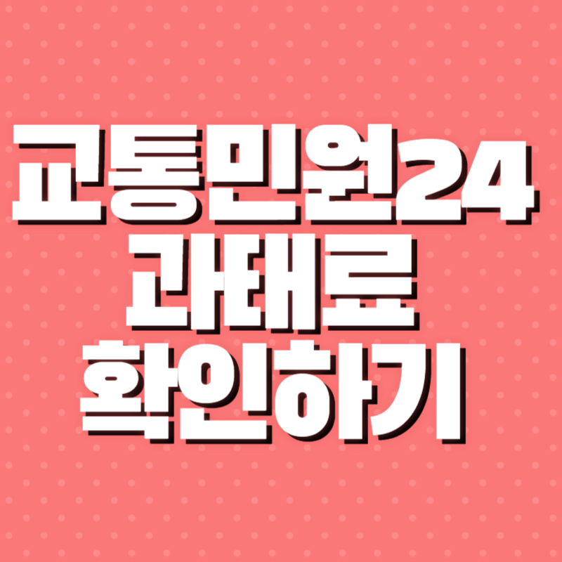 교통민원24 과태료