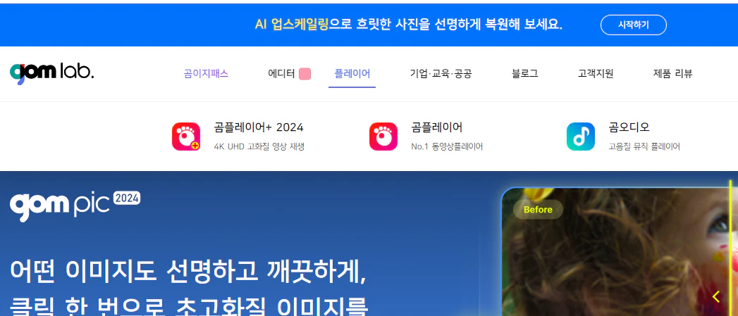 곰플레이어 사이트