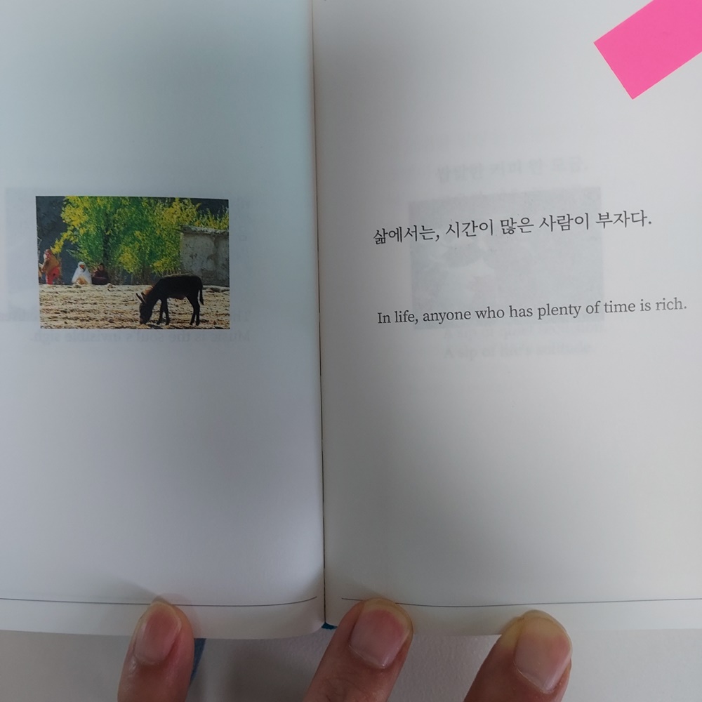 걷는독서