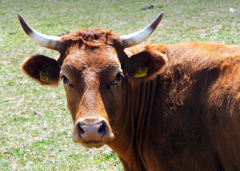 미트박스,생산자,소비자,온라인,플랫폼,B2B