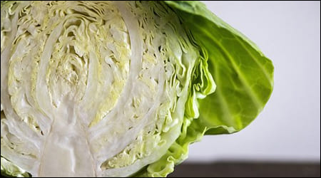 반으로 자른 양배추의 단면