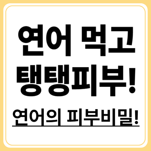 연어로 피부 건강 지키기, 오메가3의 놀라운 효과