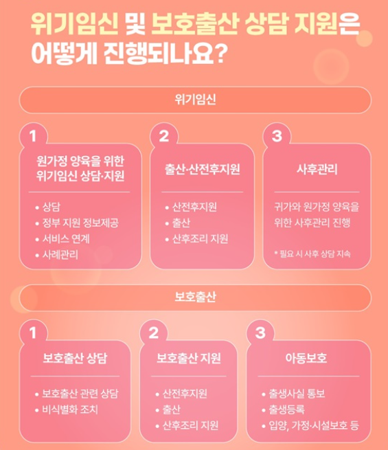 뜻밖의 임신, 위기임신보호출산제