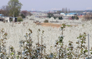 드라마 촬영지 눈물의 여왕