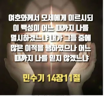 가나안 땅 이스라엘 민수기 13장_11