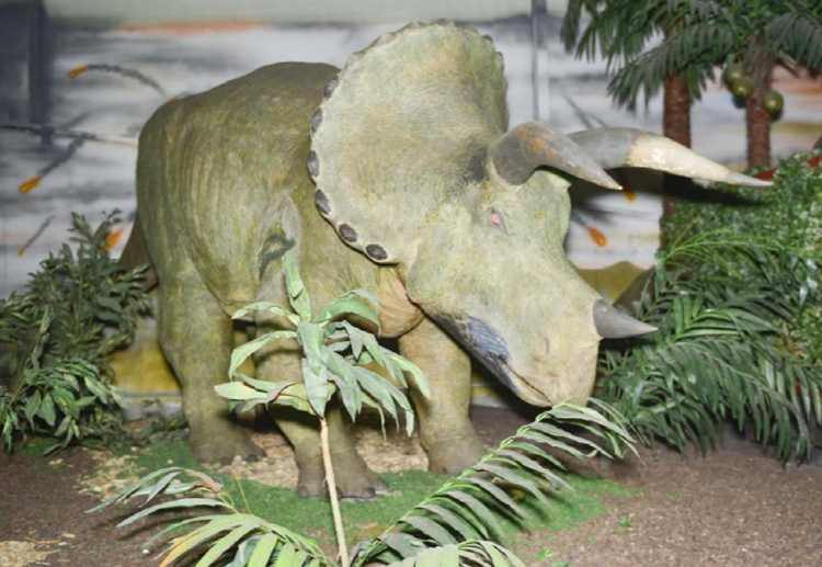 덕평 공룡수목원