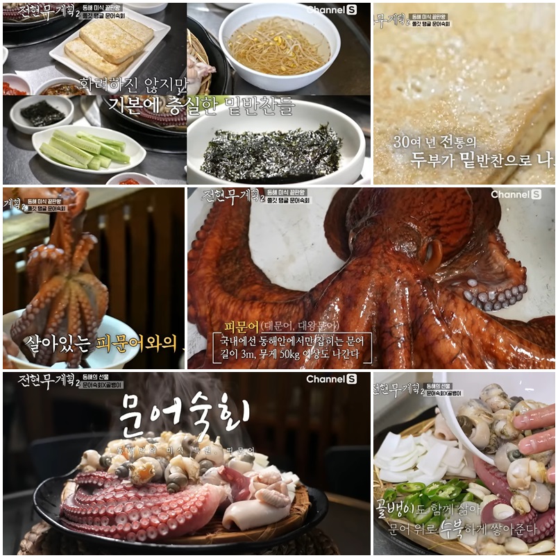 삼척 &lsquo;동해안&rsquo; &ndash; 피문어 숙회의 깊은 감동