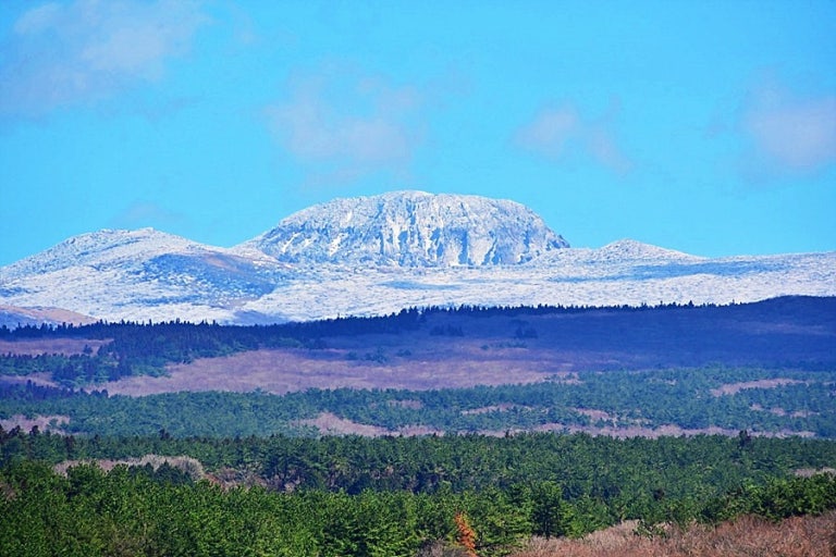 한라산 실시간 CCTV