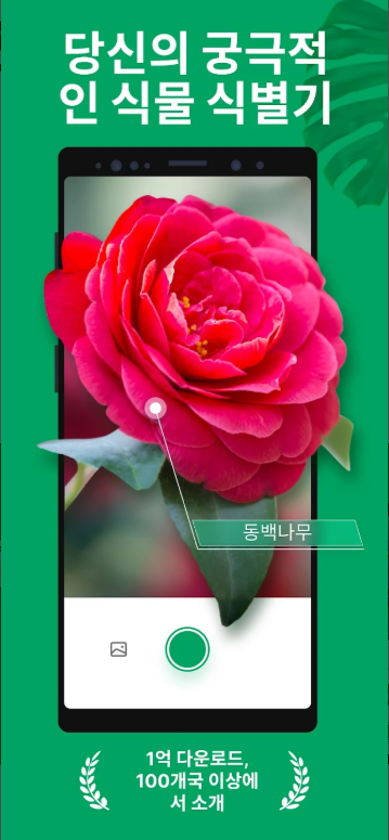 꽃 이름 검색, 꽃 이름 식별 앱