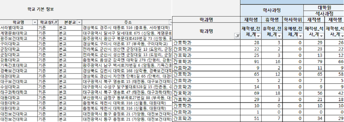 간호학과-설치-대학교-현황-파일화면-학교명-학과명-재학생수-항목등으로구성
