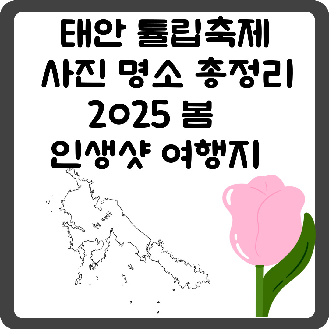 태안 튤립축제 &amp; 사진 명소 총정리