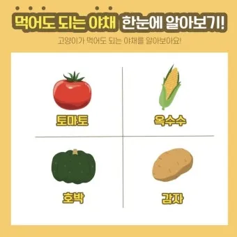 &amp;quot;고양이