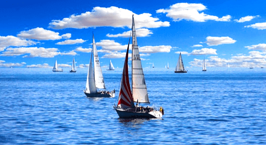 바다 위에 배 여러 개가 떠 있다. 하얀 돛대를 가진 배들이다.