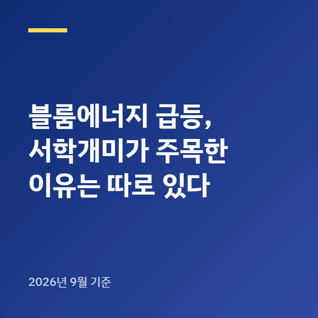 블룸에너지 급등, 서학개미가 주목한 이유는 따로 있다