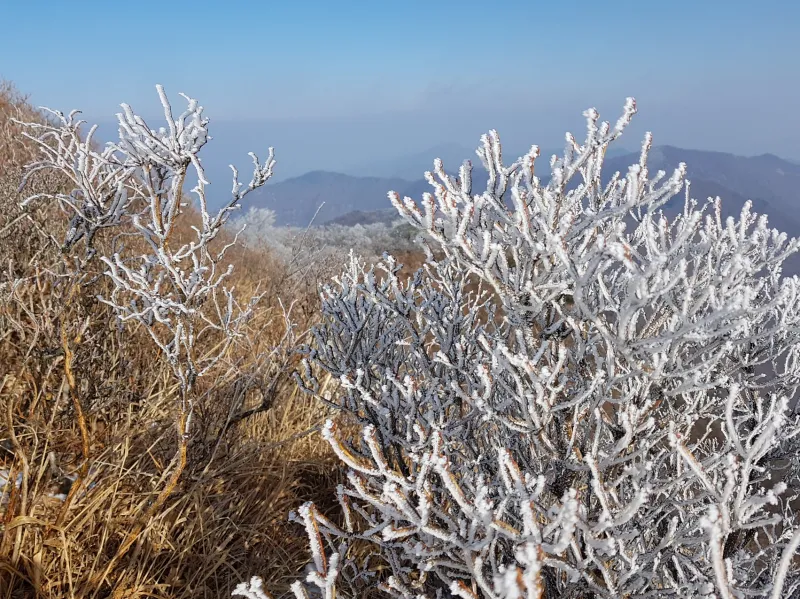 울산 가지산 설경