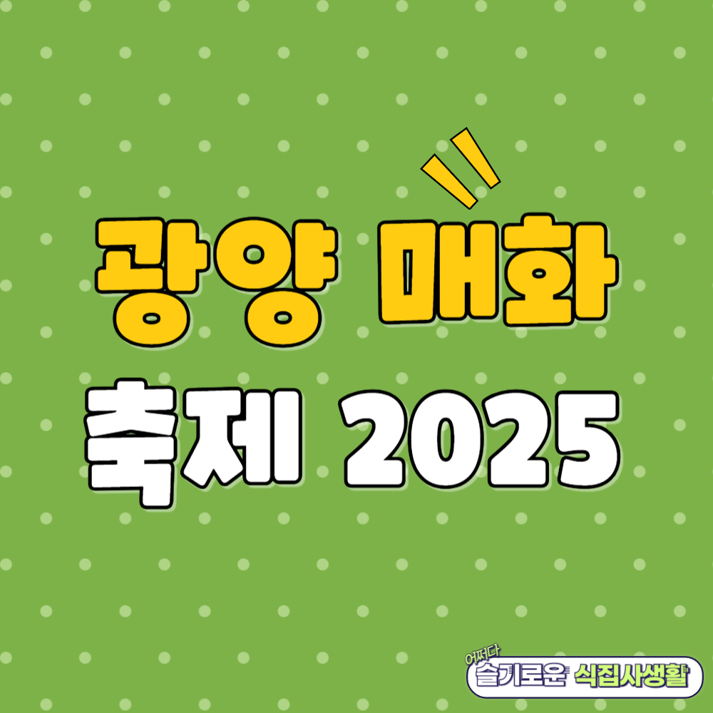 광양 매화 축제 2025 개화 시기