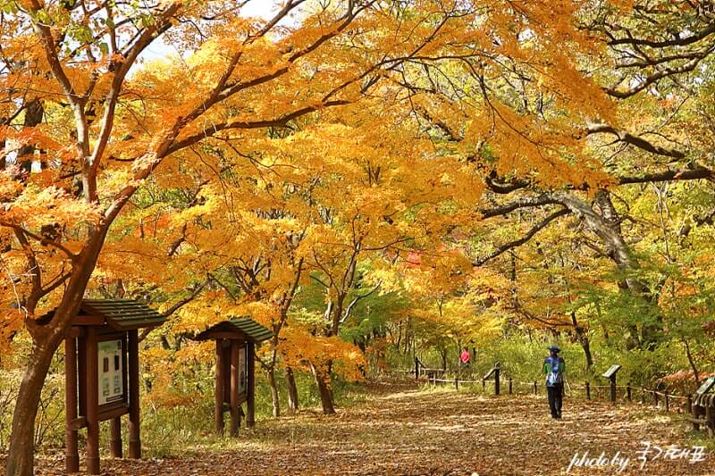 계룡산 갑사 (공주)