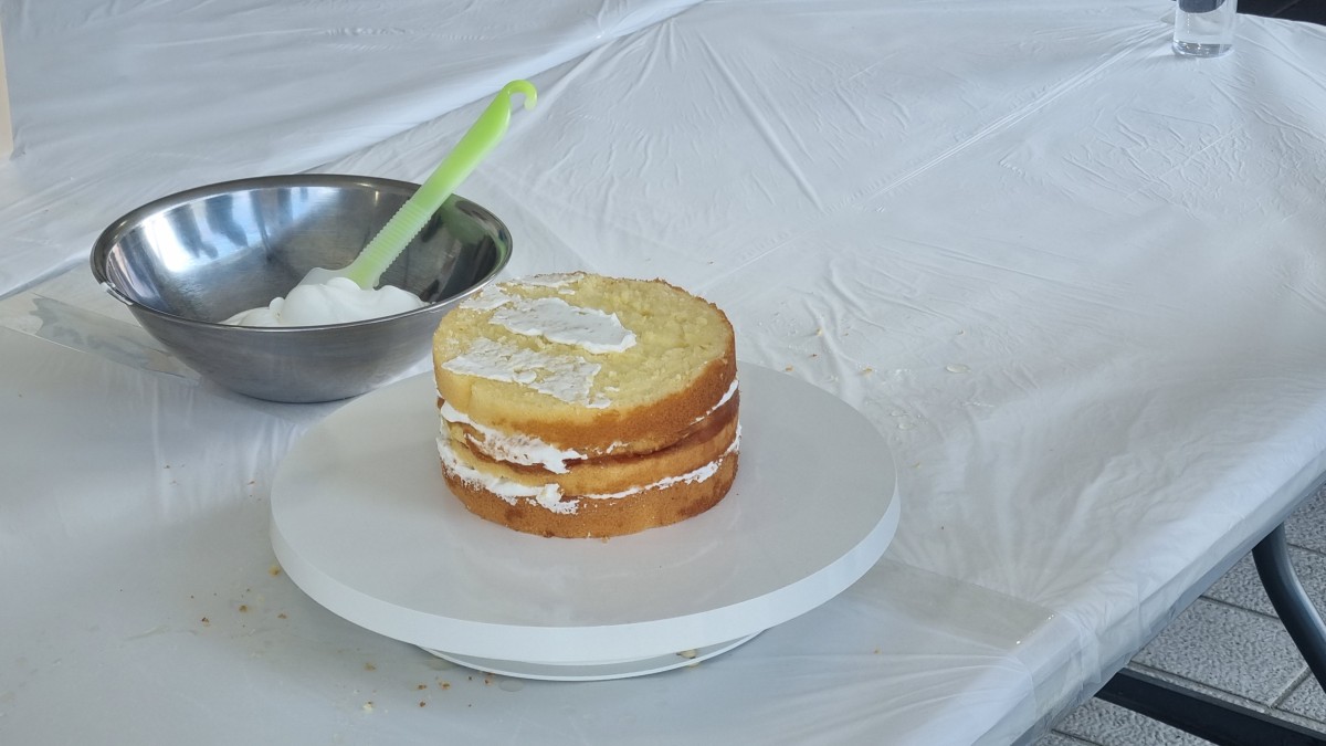 체험행사