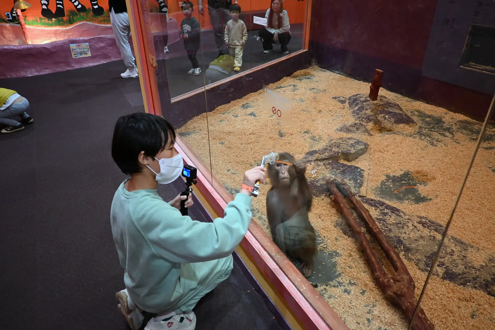 기흥 하이브패밀리 테마파크 온가족이 즐기는 동물원이 있는 키즈카페 사진 17