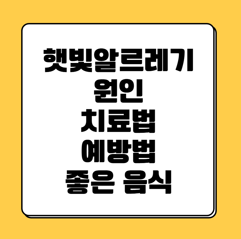 햇빛알르레기