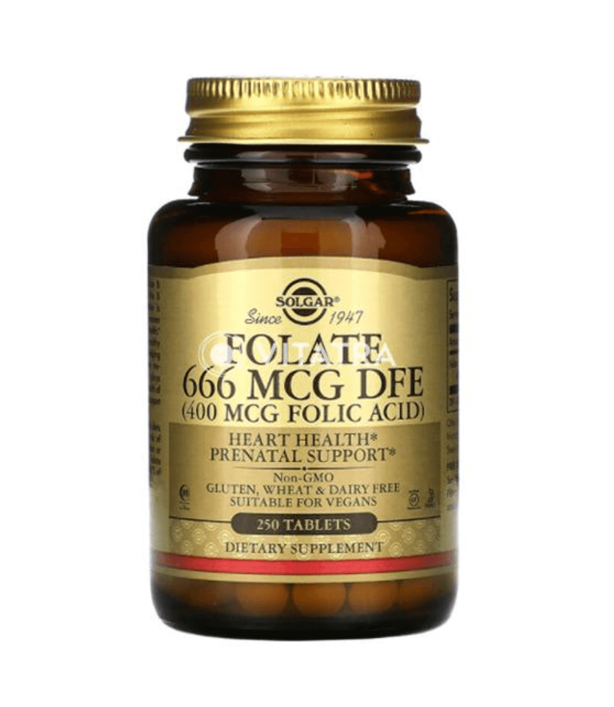 솔가 엽산 해외