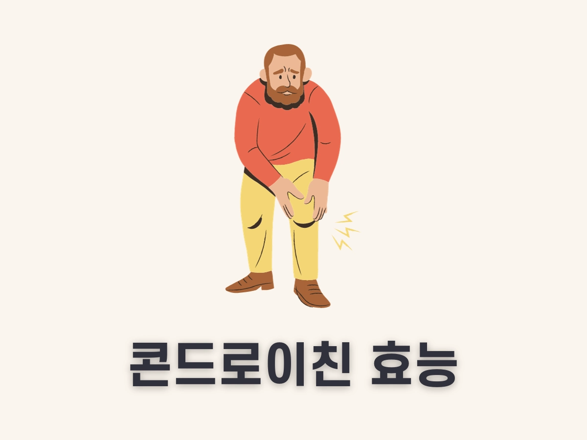 콘드로이친 효능