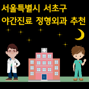 서울 서초구 정형외과 야간진료