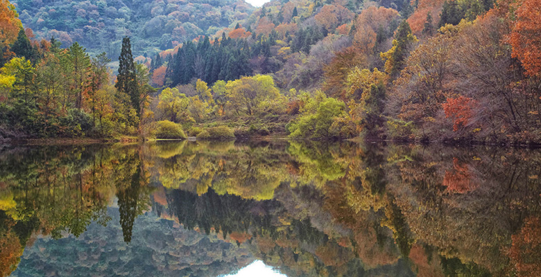 세량지