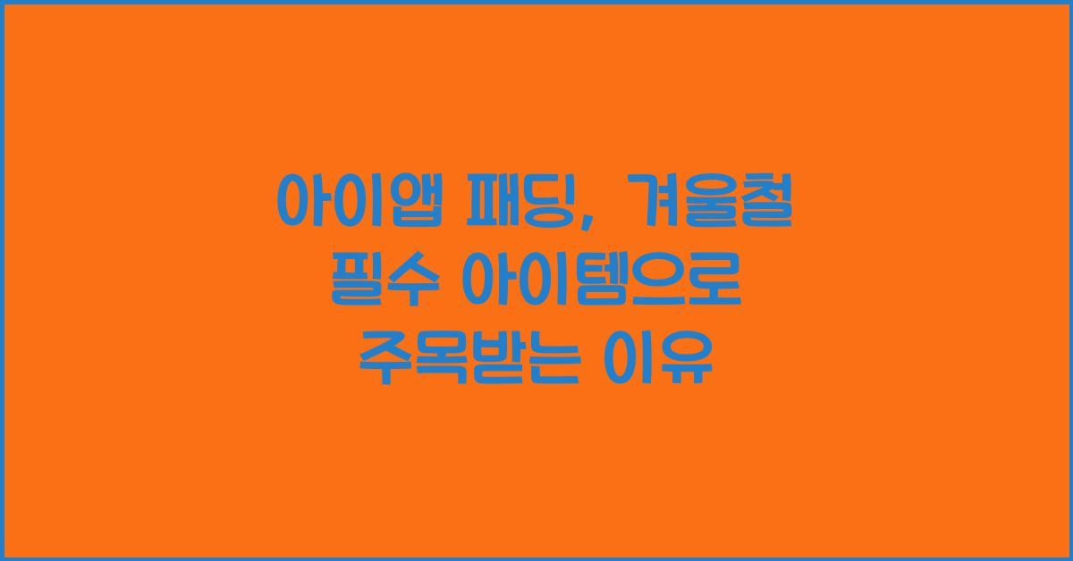 아이앱 패딩