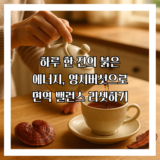 영지버섯 붉은 버섯 사진