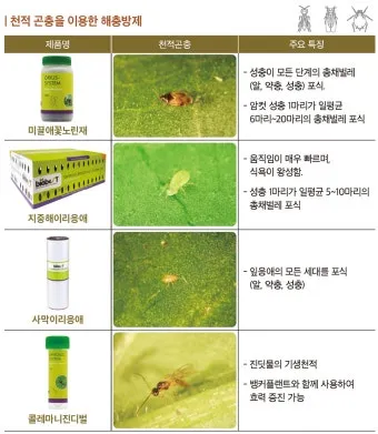 병해충 천적 활용 무당벌레 기생벌 끈끈이트랩 친환경 방제_8