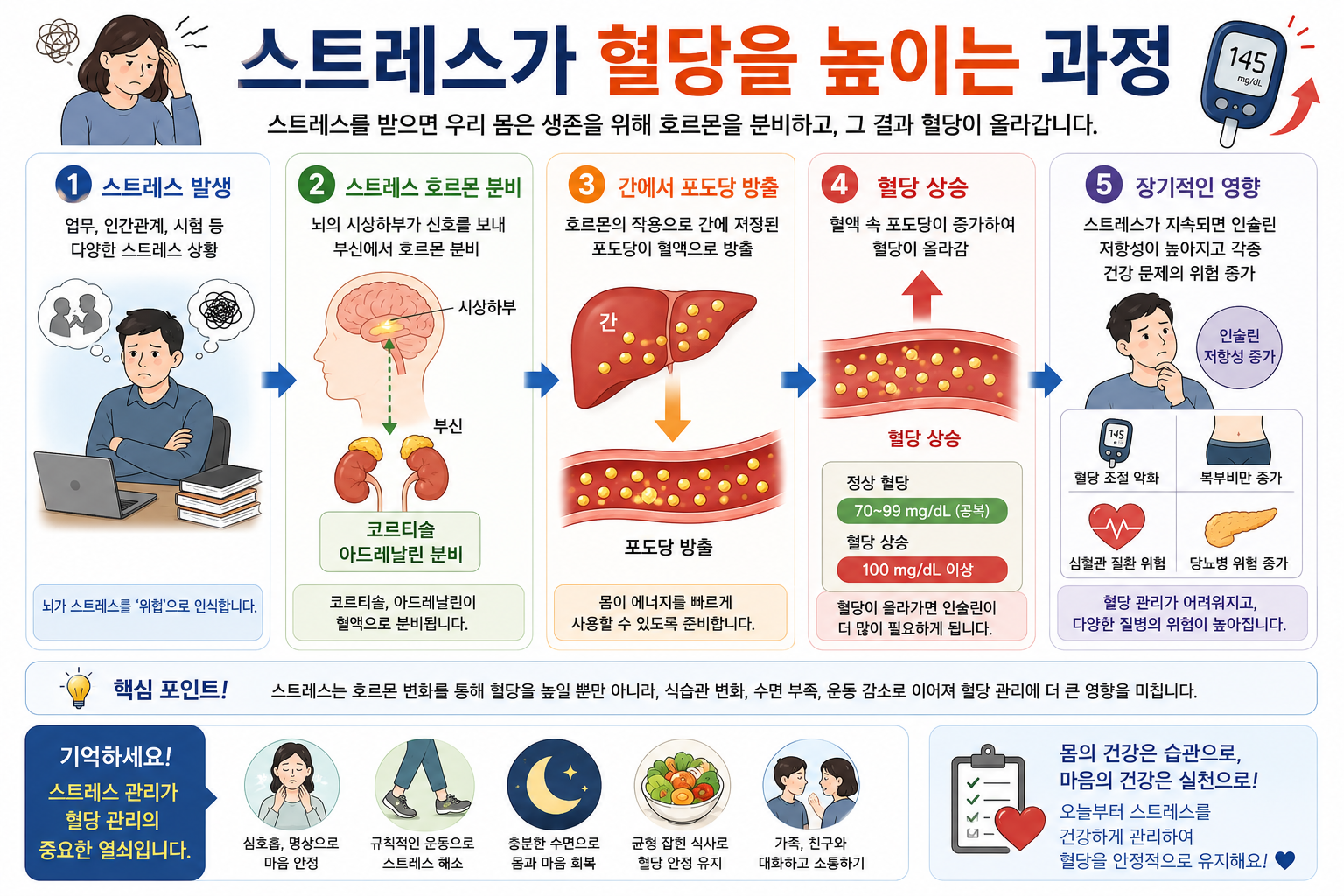 스트레스 호르몬 간의 포도당 방출과 혈당 변화의 개념도, 개인별 반응 차이와 측정 기준은 본문 참조