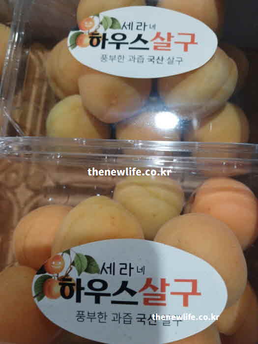 살구 효능 방법 껍질 부분