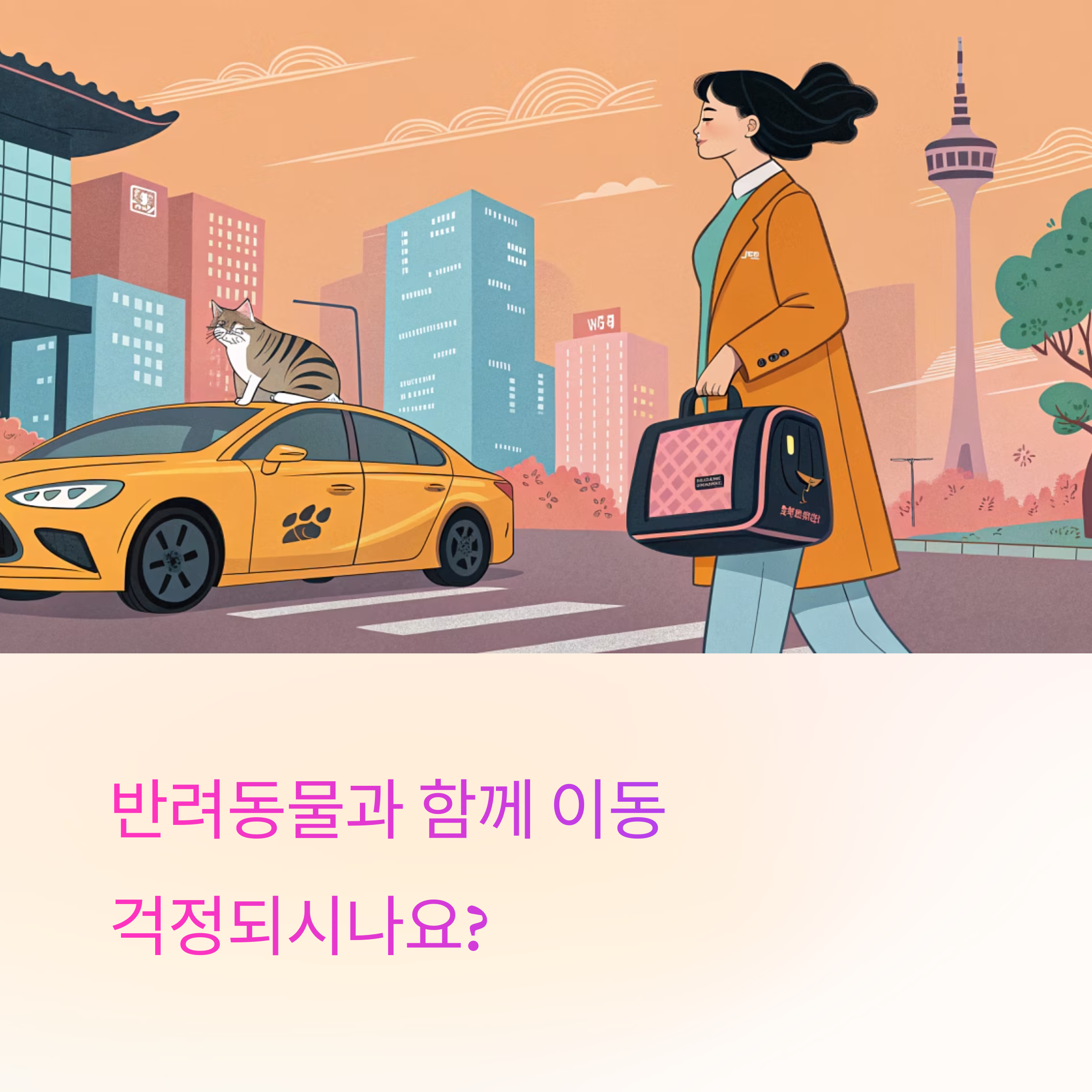 반려동물 택시, 이것만 알면 돼요!