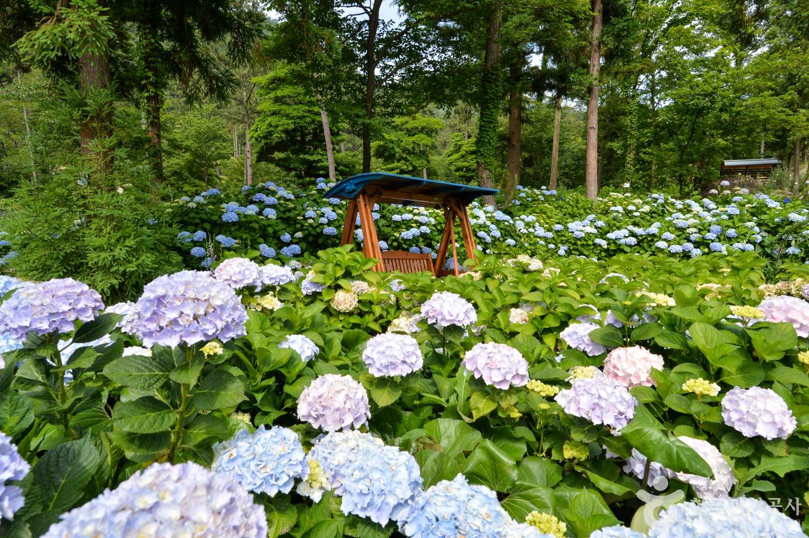 해남 4est 수목원