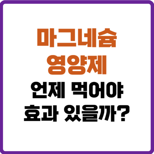 마그네슘 영양제