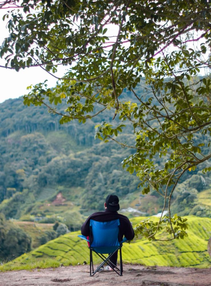 자연 속에서의 디지털 디톡스: 뇌파 안정 효과 연구