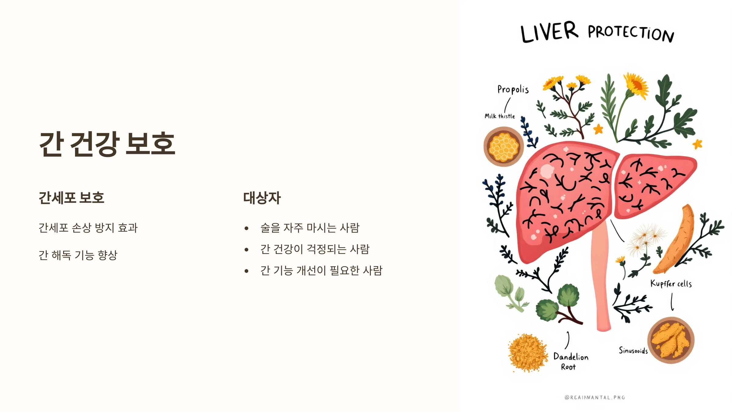 프로폴리스와 관련된 사진입니다.