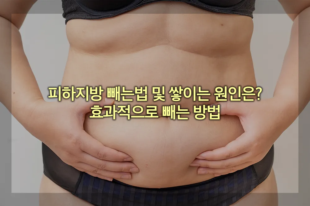 피하지방 빼는법 쌓이는 원인