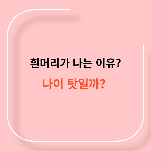 흰머리가 나는 이유11