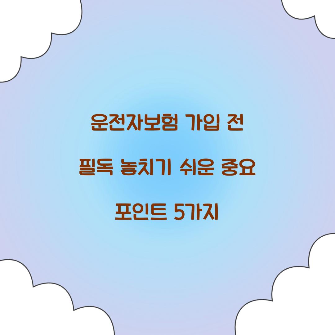 운전자보험 가입 전 필독