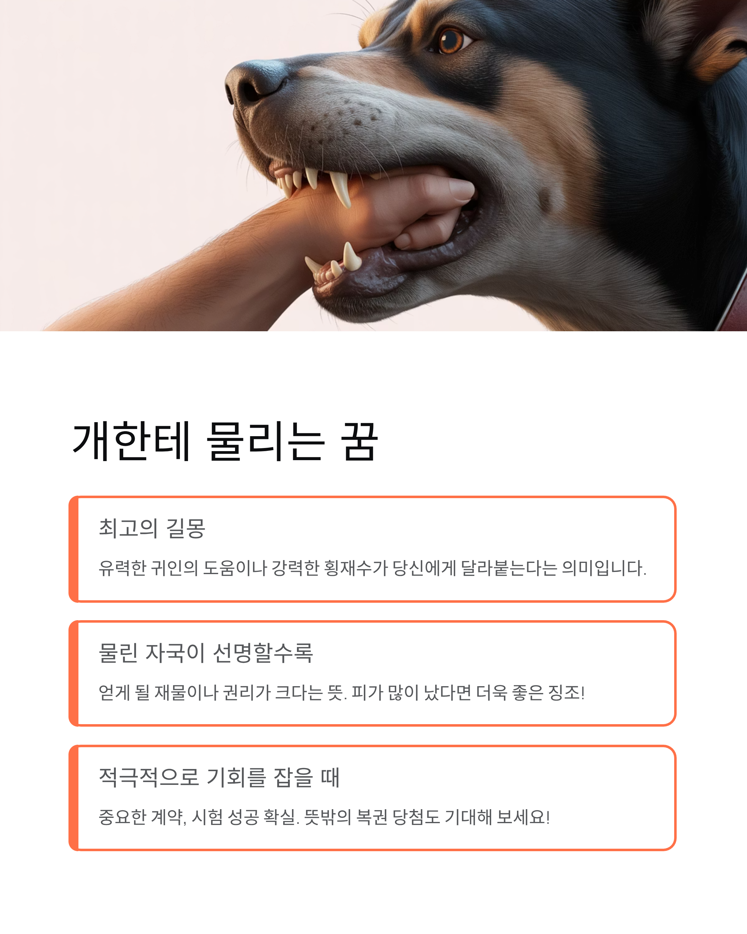 개꿈 해몽, 개한테 **물리는 꿈**은 대박 횡재수? **강아지 낳는 꿈** 태몽 핵심 정리!