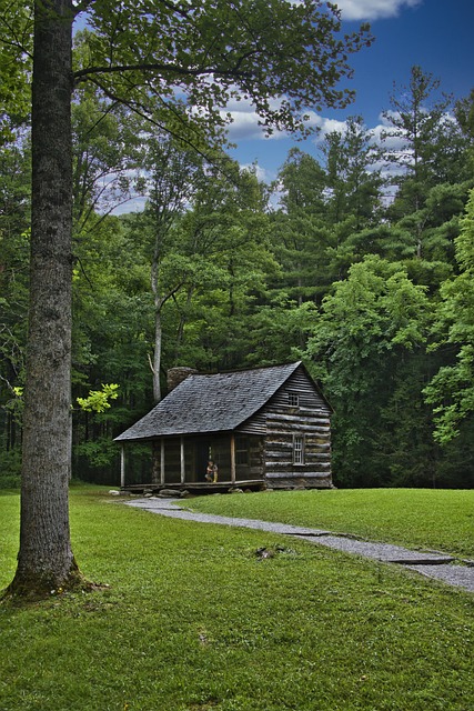 미국에서 가장 많은 방문객이 찾는 국립공원, 스모키 마운틴 완벽 가이드