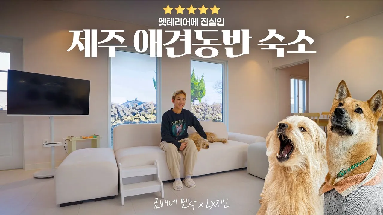 강아지 동반 애견 동반 여행 국내 베스트 10_7