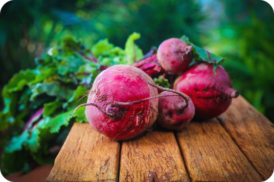 고지혈증에-좋은-음식