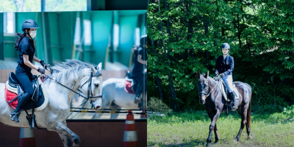 생생정보통 오늘방송(2월27일) 맛집 서울 동작노을카페,헤브헤븐도자기카페,청춘조개본점,낙산공원,인덕원승마스쿨